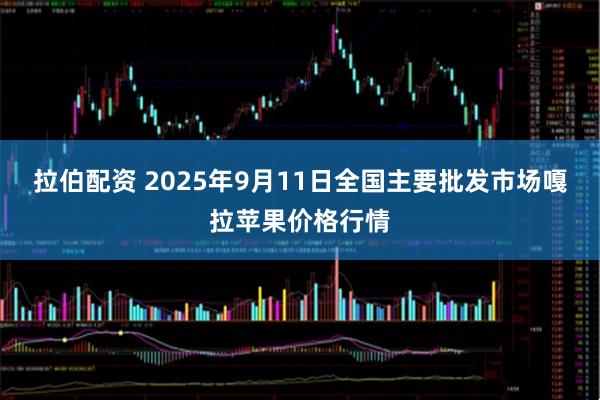拉伯配资 2025年9月11日全国主要批发市场嘎拉苹果价格行情