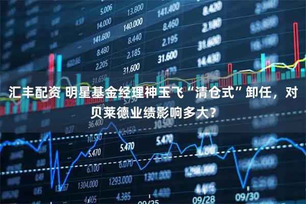 汇丰配资 明星基金经理神玉飞“清仓式”卸任，对贝莱德业绩影响多大？