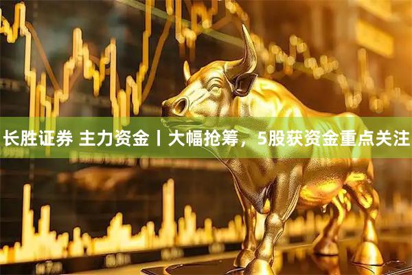 长胜证券 主力资金丨大幅抢筹，5股获资金重点关注