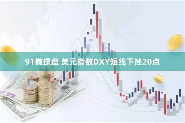 91微操盘 美元指数DXY短线下挫20点