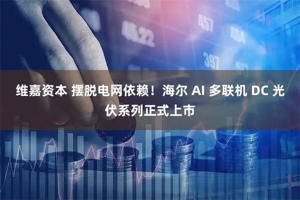 维嘉资本 摆脱电网依赖！海尔 AI 多联机 DC 光伏系列正式上市